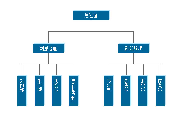 四川莱特索斯光电科技有限公司组织机构图